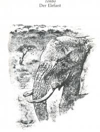 Der Tag des Löwen - der Elefant