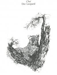 Der Tag des Löwen - der Leopard
