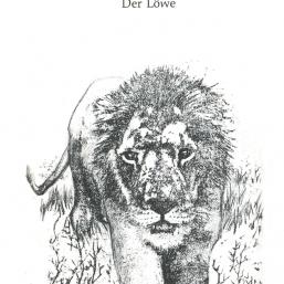 Der Tag des Löwen - der Löwe Der Tag des Löwen - der Löwe