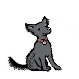 ein angenehm schüchterner Hund ein angenehm schüchterner Hund