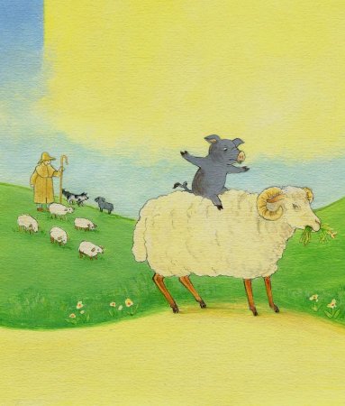 Schaf kitzeln